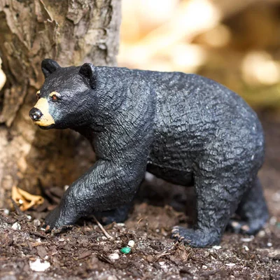 Hand Painted | Black Bear