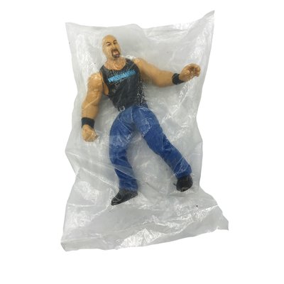 WWF Jakks Contest Exclusive Wrestlemania XV - Stone Cold Steve Austin - Action Figure