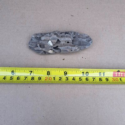 Nano Bogwood on Stone and Root