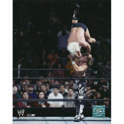 WWE Shawn Michaels Promo Print 8" x 10"