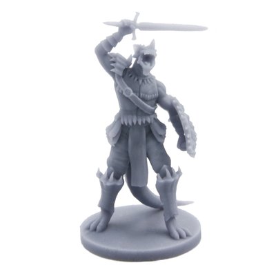 Dragonborn Fighter | Scale Miniature for Dungeons and Dragons