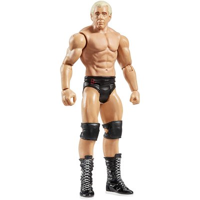 Basic Summerslam Series - Ric Flair Action Figure