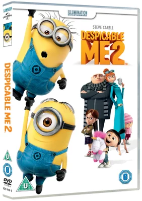 Despicable Me 2 (DVD)