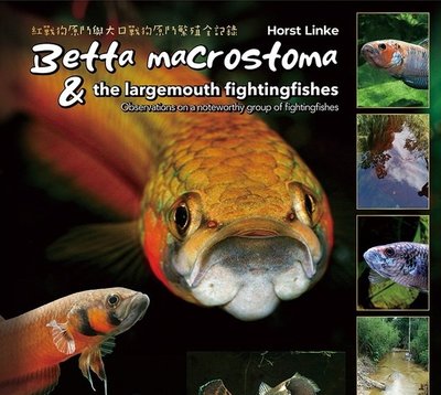 Betta macrostoma & the largemouth fighting fishes by Horst Linke (Book)