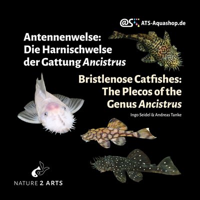 Bristlenose Catfishes: The Plecos of the Genus Ancistrus - By Ingo Seidel & Andreas Tanke (book) PRE-ORDER