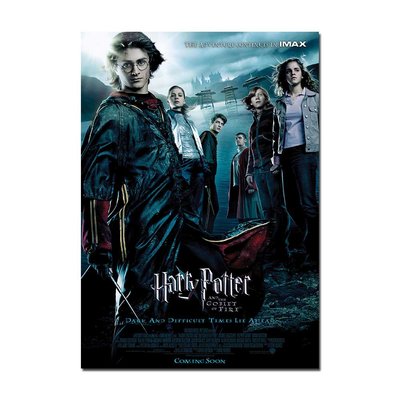 Harry Potter (Goblet of Fire) Movie Poster | Official Cinema Wall Art – A4 A3