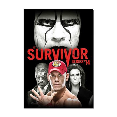 WWE Survivor Series 2014 Event Poster | Official WWE Wall Art A4 A3