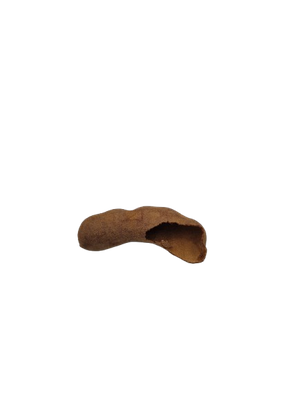Tamarindus Pod