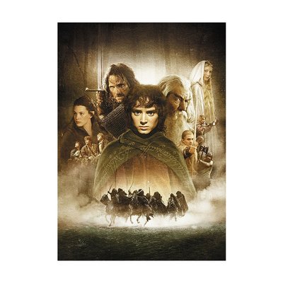 The Lord of The Rings - The Fellowship Of The Ring Movie Poster | Official Art Print A3 A4
