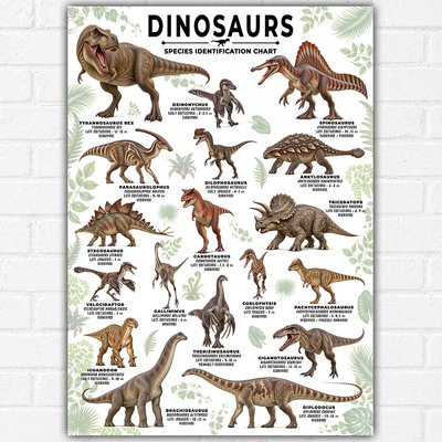 Kids Dinosaur Bedroom Poster A3 | Jungle Wall Art & Educational Room Decor