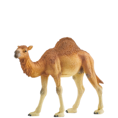 Schleich Dromedary - 14832