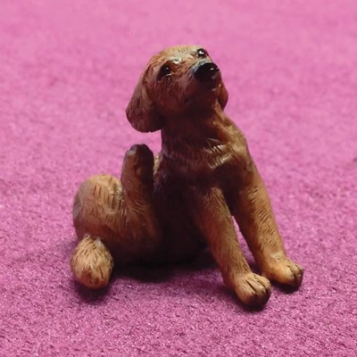Coco the Scratching Labrador for 12th Scale Dolls House