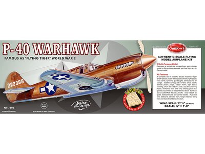 1/16 Scale P-40 Warhawk Balsa Model Kit