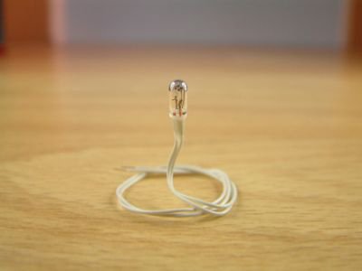 Expo Clear 6 volt Grain of Wheat bulb, pack of 10
