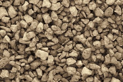 Medium Brown Talus