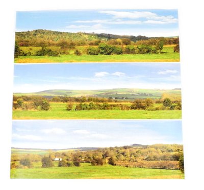 Gaugemaster Valley Large Photo Backscene (2744x304mm) OO Gauge