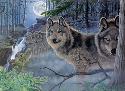 Painting By Numbers Mystical Moonlight