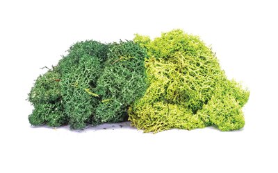 Hornby Lichen - Large Green Mix OO Gauge
