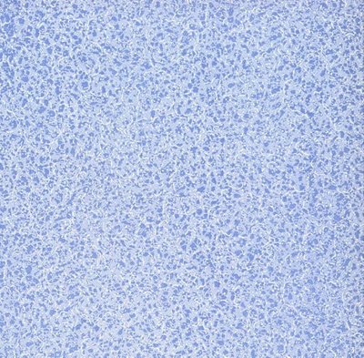 Blue Lace Wallpaper for 12th Scale Dolls House