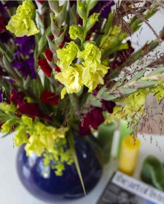 Gladioli Jewel Collection A