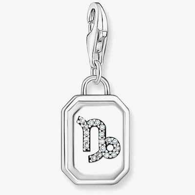 Silver Octagonal Cubic Zirconia Capricorn Charm 2152-643-21