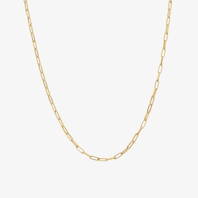HD X Golden Edit 18ct Gold Plated Embrace Paperclip Chain CH120
