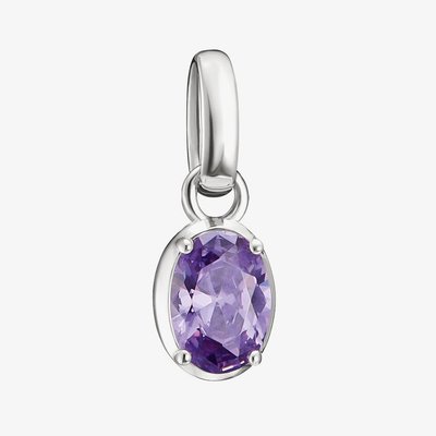 Charm Club Connect February Birthstone Charm