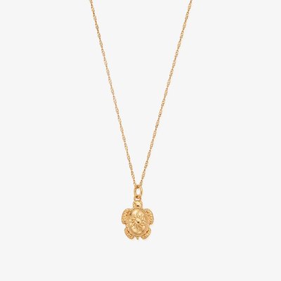 Treasures Of Bali Sheltered Glow 18ct Yellow Gold Plated Turtle Pendant Necklace