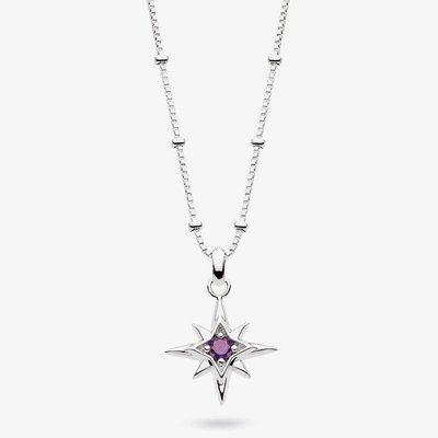 Céleste February Aurora Birthstone Amethyst Necklace