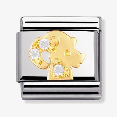 CLASSIC Gold Zodiac Cubic Zirconia Capricorn Charm