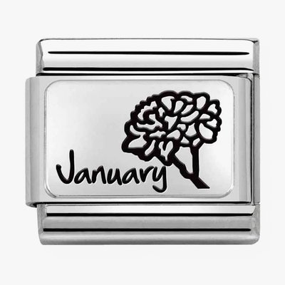 CLASSIC Composable Plates January Flower Charm