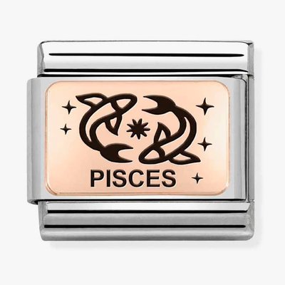 CLASSIC Composable Plates Pisces Charm