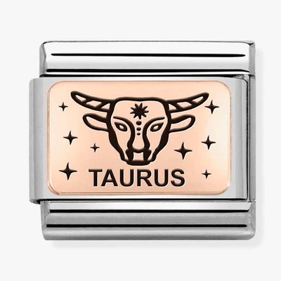 CLASSIC Composable Plates Taurus charm