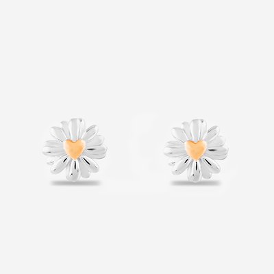 Rosa Lea Daisy Heart Stud Earrings AM-2THB028107 RG