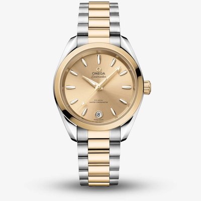 OMEGA Seamaster Aqua Terra Two Colour Watch 220.20.34.20.08.001