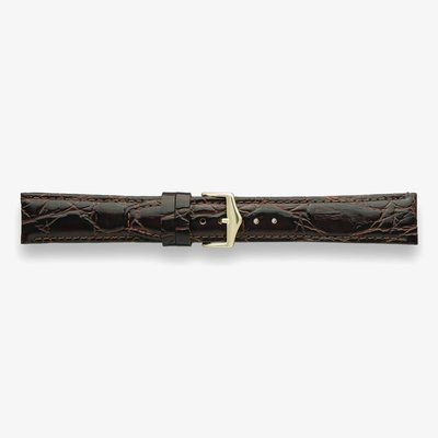 Darlena Tewkesbury Brown Crocodile XL Leather Watch Strap LS1355XL BRN 18MM (2) (Y)