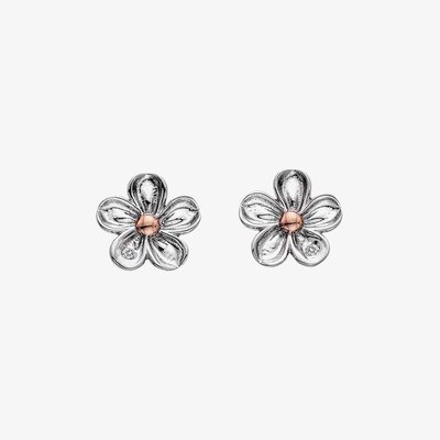 Forget Me Not Earrings