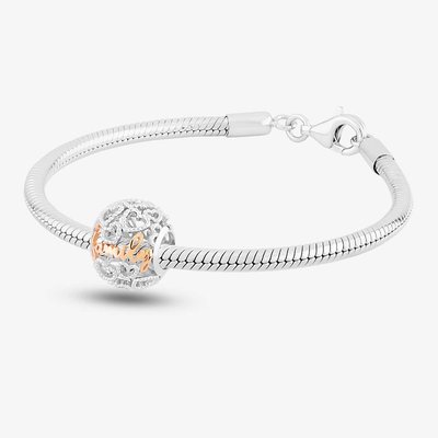 Family Charm & Bracelet