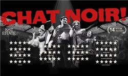 CHAT NOIR