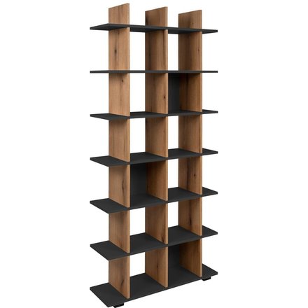 Regal Navas 20A Eiche Artisan Nachbildung anthrazit