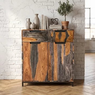 Goa hall cabinet - 2 door - dark sheesham wood