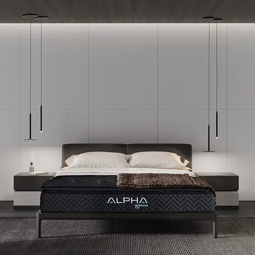 Alpha Kappa Black Pillow Top Mattress, King Size