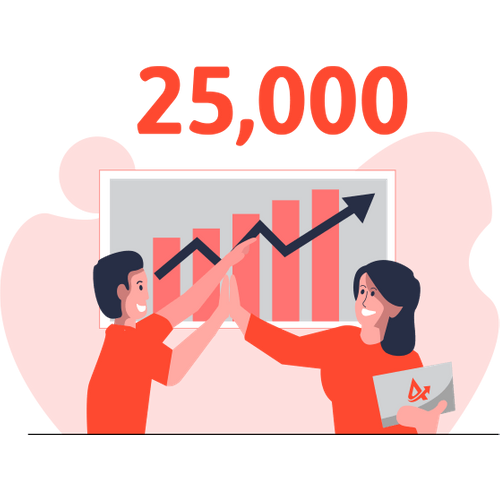 25,000 Views over 6 Months