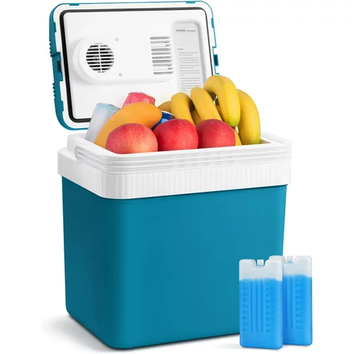 AstroAI 26 Quart Electric Car Cooler, Thermoelectric Fridge with AC/DC, 2 Ice Packs – for Travel, Home, RV & Outdoor Use