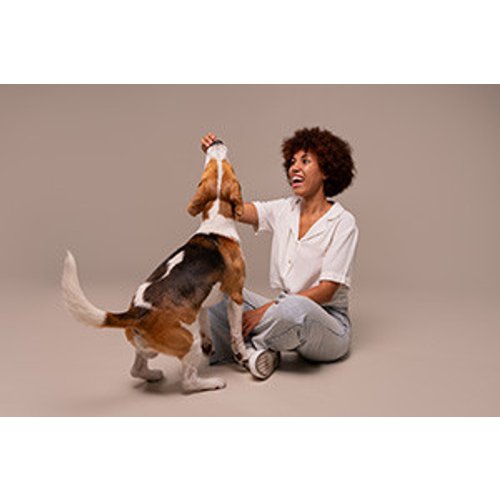 Understanding Pet Sitting and Dog Walking Business