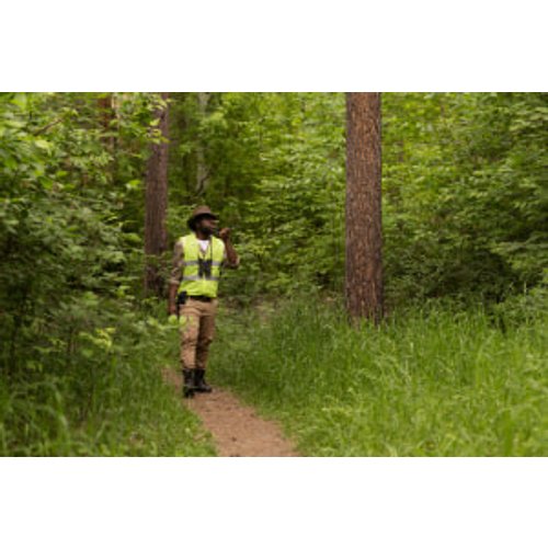 The Role and Duties of Forest Rangers