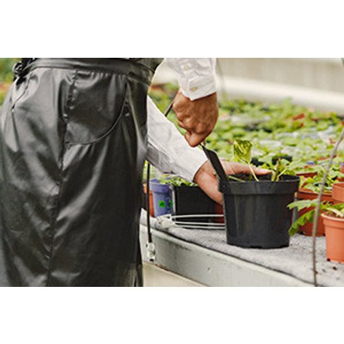 Basics of Hydroponic Horticulture