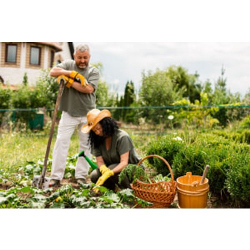 Basics of Homesteading
