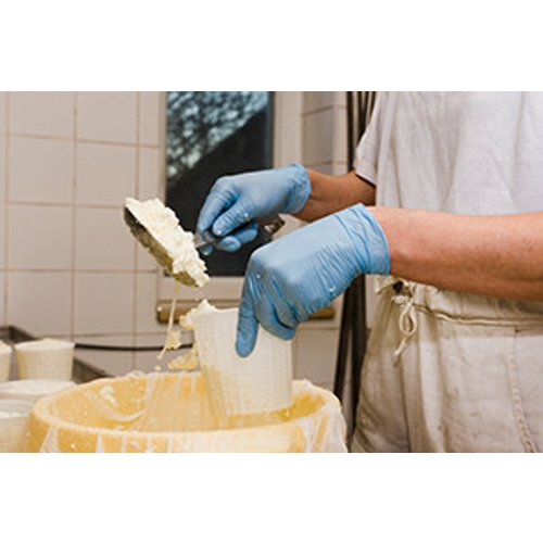 Cheese Making for Beginners