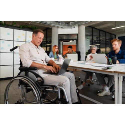 Disability Inclusion in the Workplace